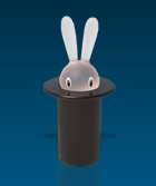 Rabbit in a hat